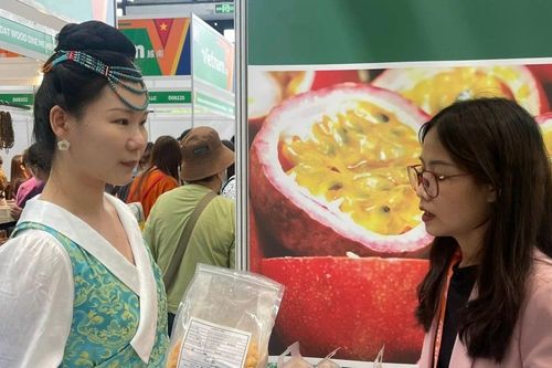 Gia Lai có 8 doanh nghiệp tham gia Hội chợ Thương mại ASEAN - Trung Quốc lần thứ 22
