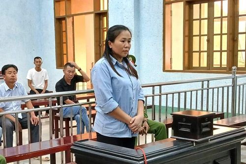 Cựu Kế toán trưởng Công ty Lâm nghiệp Kon H'de lãnh án vì tham ô tài sản