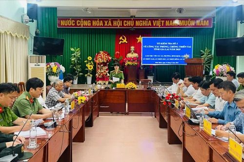 Kiểm tra công tác phòng-chống thiên tai tại khu vực phía Đông Gia Lai