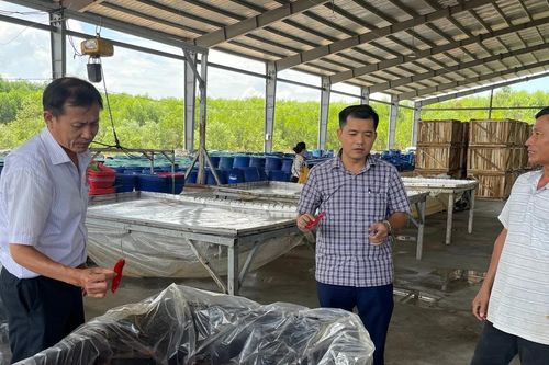 Nông sản Gia Lai hướng tới thị trường Trung Quốc