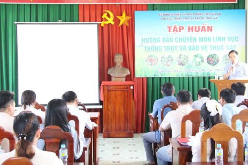 Tập huấn cho hơn 50 học viên ở cơ sở về trồng trọt và bảo vệ thực vật