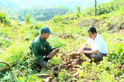 Nông thôn khởi sắc từ các chính sách 'tiếp sức'