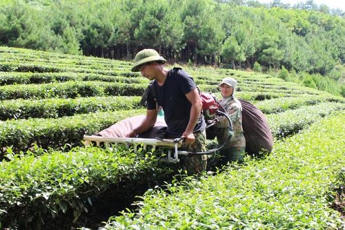 Xanh dần 'Chỉ số Xanh'