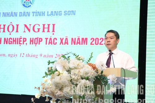 UBND tỉnh gặp mặt doanh nghiệp, hợp tác xã