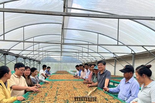 Điểm sáng nông nghiệp công nghệ cao