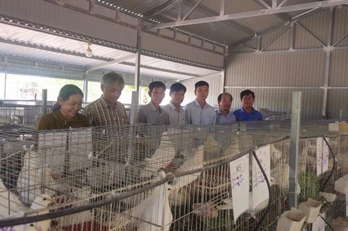 Lâm Đồng có nông dân và nhà khoa học được vinh danh toàn quốc năm 2025