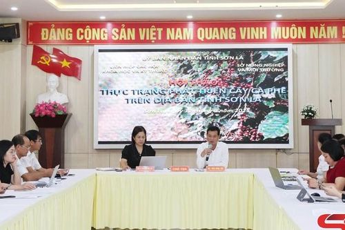Đưa cây cà phê trở thành cây trồng chủ lực trong phát triển kinh tế