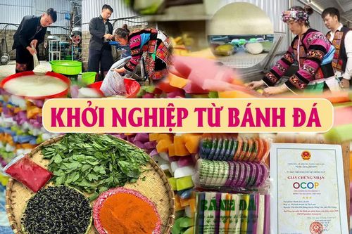 Khởi nghiệp từ bánh đá