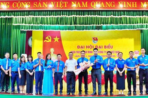 Nhiệm kỳ 2025 – 2030: Đoàn thanh niên VINAPACO đặt mục tiêu có trên 10 công trình thanh niên