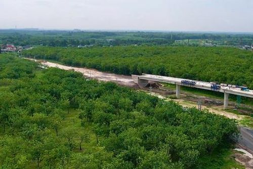 Đồng Nai tăng tốc bàn giao đất cao su phục vụ các dự án trọng điểm