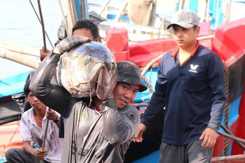Đắk Lắk: Chính quyền và ngư dân chung tay chống khai thác IUU