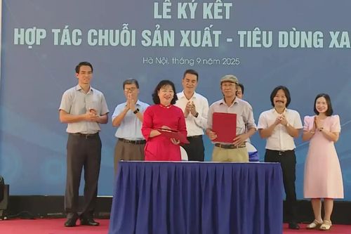 Thúc đẩy kết nối sản xuất - tiêu dùng bền vững