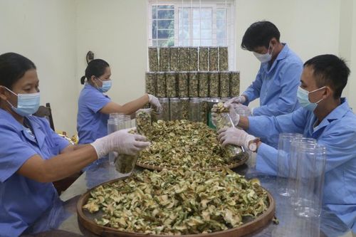 Tăng cường nghiên cứu, ứng dụng khoa học và công nghệ vào sản xuất nông nghiệp
