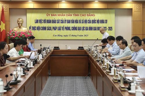 Đoàn khảo sát của Ủy ban Văn hóa và Xã hội làm việc với UBND tỉnh về thực hiện chính sách, pháp luật về phòng, chống bạo lực gia đình