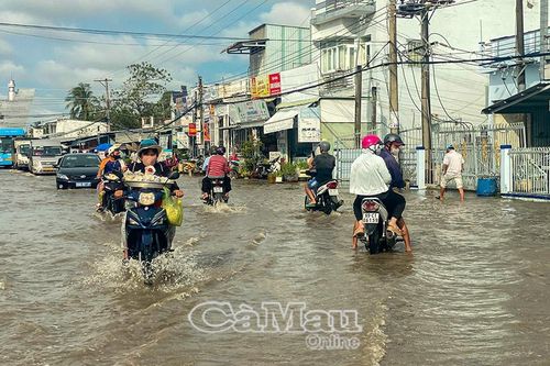 Quốc lộ 1 ngập sâu vì triều cường