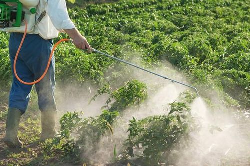 Cảm biến giúp phát hiện nhanh chất siêu độc bị cấm trong thuốc diệt cỏ