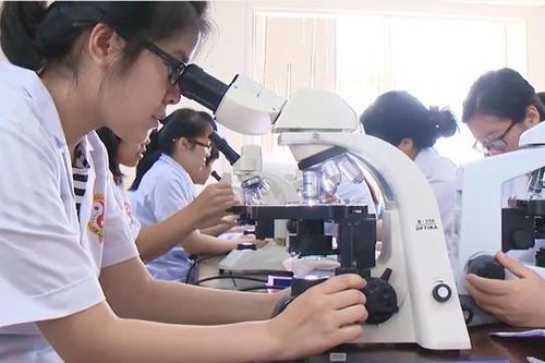 Ứng dụng khoa học công nghệ tăng giá trị dược liệu quý