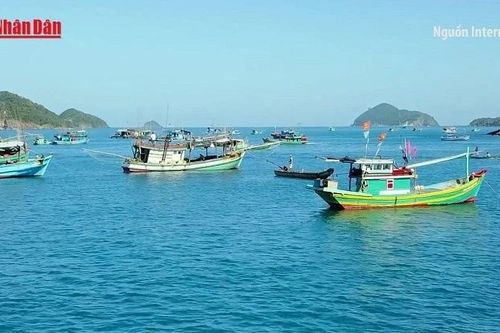 Du lịch Việt Nam tăng trưởng mạnh nhất thế giới nửa đầu 2025