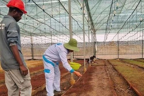 Tập đoàn Xuân Thiện cùng Angola phát triển nông nghiệp bền vững