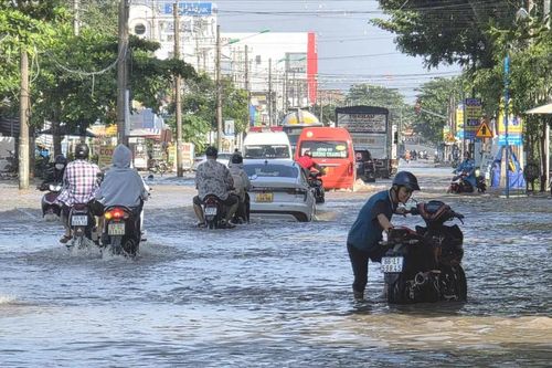 Lũ ở ĐBSCL vượt báo động 3: Đầu nguồn sôi động mưu sinh, cuối nguồn chật vật ứng phó ngập