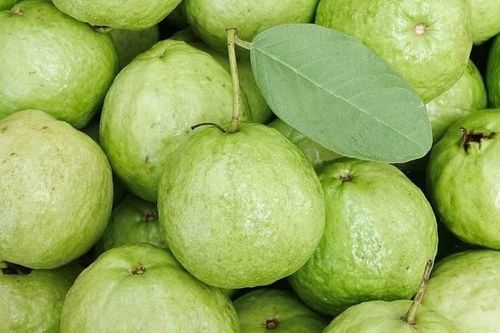 Cách đơn giản chọn ổi giòn tươi, ngon ngọt