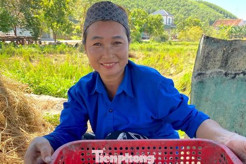 Kiếm tiền triệu sau mỗi đêm săn đặc sản chuột đồng