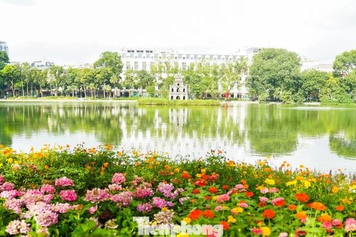 Hồ Gươm rực rỡ sắc hoa, khoảnh khắc đẹp như cổ tích giữa lòng Hà Nội