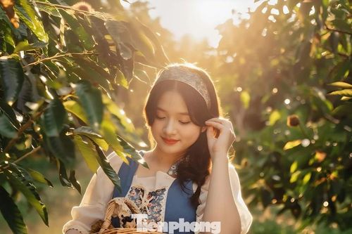 Mùa no ấm của người dân xứ Lạng