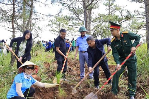Hơn 300 người ra quân trồng cây xanh, góp sức vào phong trào 50 triệu cây