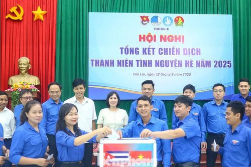 Dấu ấn sức trẻ Gia Lai trong Chiến dịch Thanh niên tình nguyện hè 2025