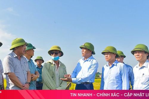 Dấu ấn nhiệm kỳ: Từng bước kiến tạo nền nông nghiệp hiện đại