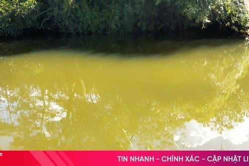 Rủ nhau tắm ở hồ cá, bé trai 8 tuổi bị đuối nước