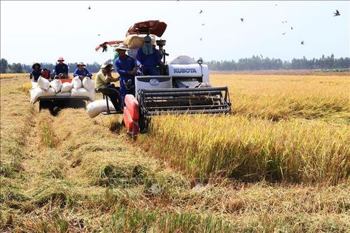 Gỡ 'điểm nghẽn' Nghị quyết 57 - Bài 3: Phát triển khoa học công nghệ vào đời sống