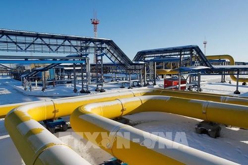 Chiến lược năng lượng Nga - Bài cuối: Rủi ro được chấp nhận