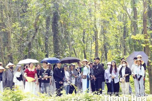 Sức hút từ du lịch mùa thu
