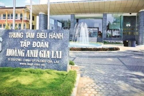 Lô trái phiếu nghìn tỷ của Hưng Thắng Lợi Gia Lai tiết lộ kế hoạch làm cà phê và dâu tằm của bầu Đức