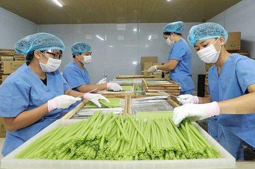 Người tiêu dùng sẵn sàng chi nhiều hơn cho sản phẩm xanh