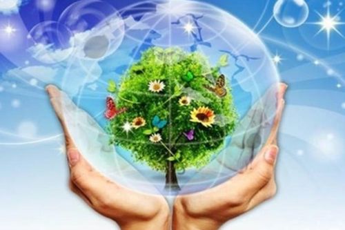 Việt Nam nỗ lực đồng hành cùng cộng đồng quốc tế bảo vệ tầng ô-dôn, hướng tới chuyển đổi xanh