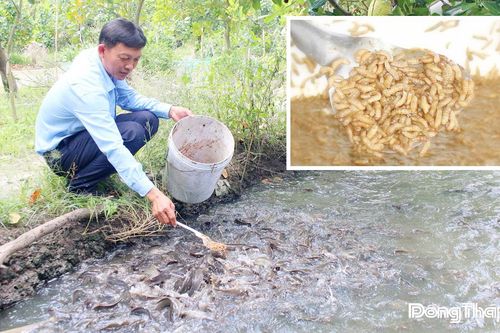 Xử lý rác thải hữu cơ - hướng đi bền vững, phù hợp xu thế phát triển xanh
