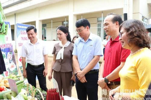 Khai mạc mùa hạt dẻ năm 2025