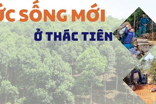 Sức sống mới ở Thác Tiên