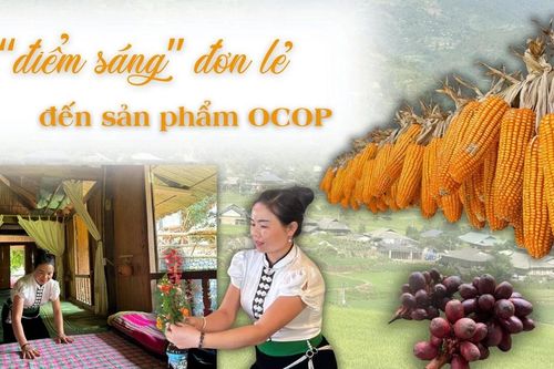 Từ 'điểm sáng' đơn lẻ đến sản phẩm OCOP