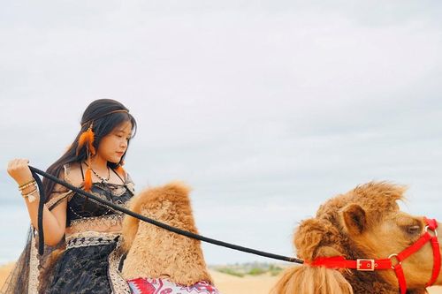 Chuỗi hoạt động trải nghiệm du lịch hấp dẫn tại xã Hòa Thắng