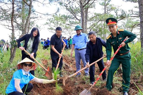 Ra quân trồng cây xanh chào mừng Đại hội Đảng bộ tỉnh Lâm Đồng