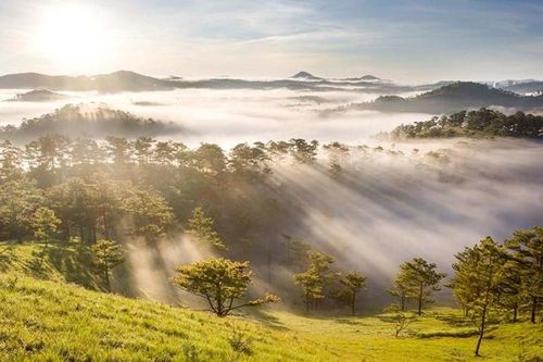 Mùa thu Đà Lạt - sự phối trộn độc đáo của thiên nhiên và di sản văn hóa