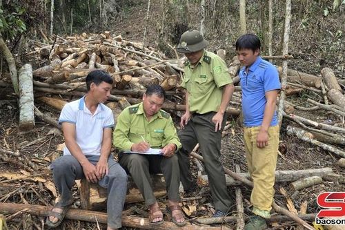 Ngăn chặn tình trạng phá rừng trồng cà phê