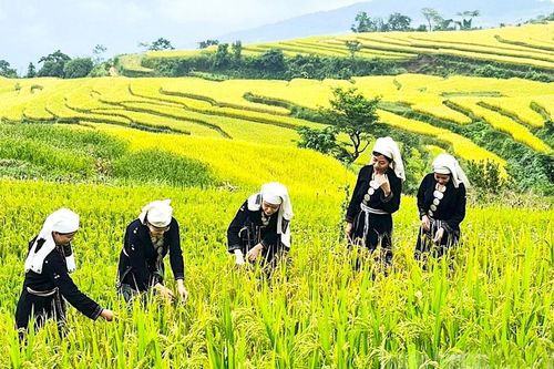 Khúc hát mùa no ấm
