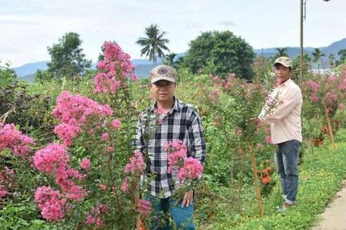 Huế: Diện mạo nông thôn mới khởi sắc từng ngày