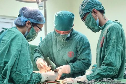 Bé gái 15 tuổi ở Quảng Ninh mắc ung thư buồng trứng hiếm gặp, bụng to bất thường