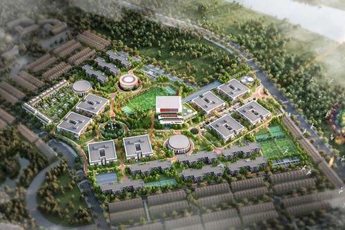 TP. Hồ Chí Minh: Giải quyết vấn đề bồi thường, giải phóng mặt bằng tại các dự án trọng điểm